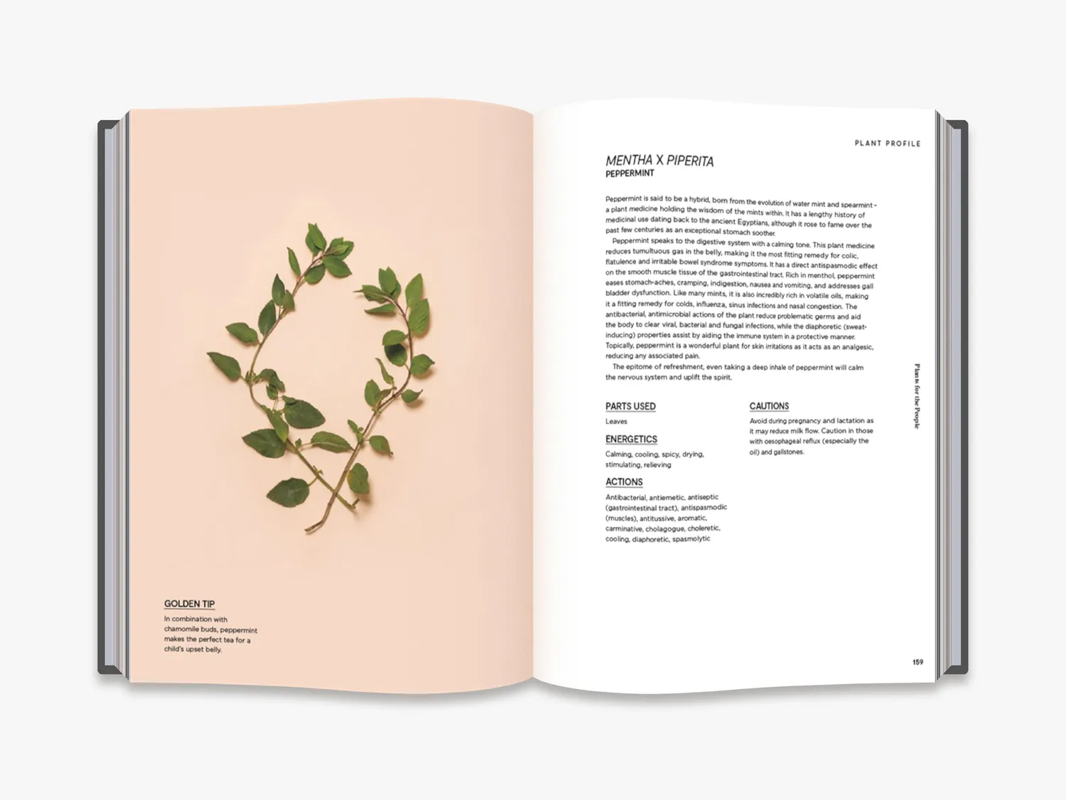 Thames & Hudson Plants for the People bog 40 urter
