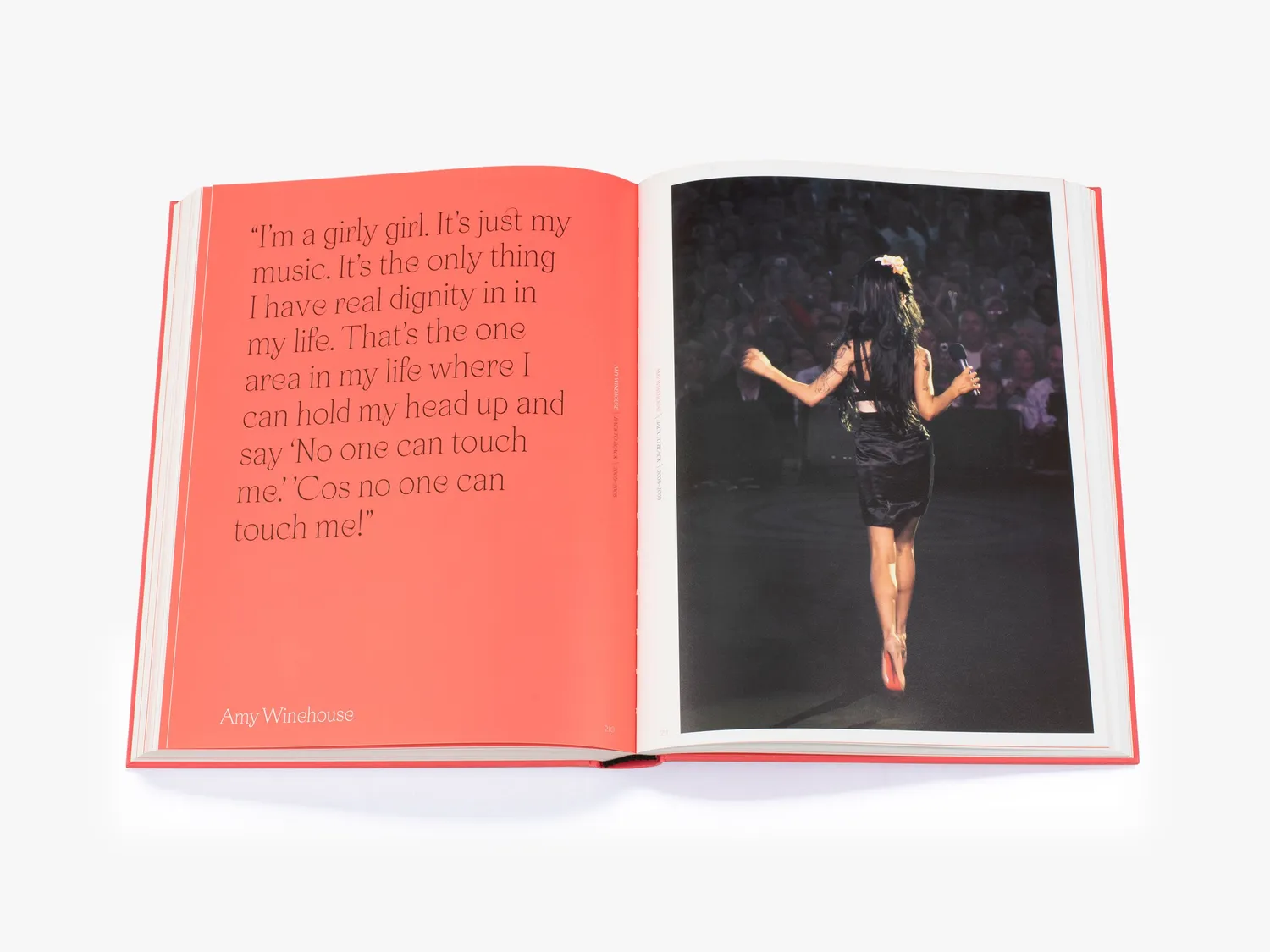 Thames & Hudson Amy Winehouse Beyond Black bog illustreret