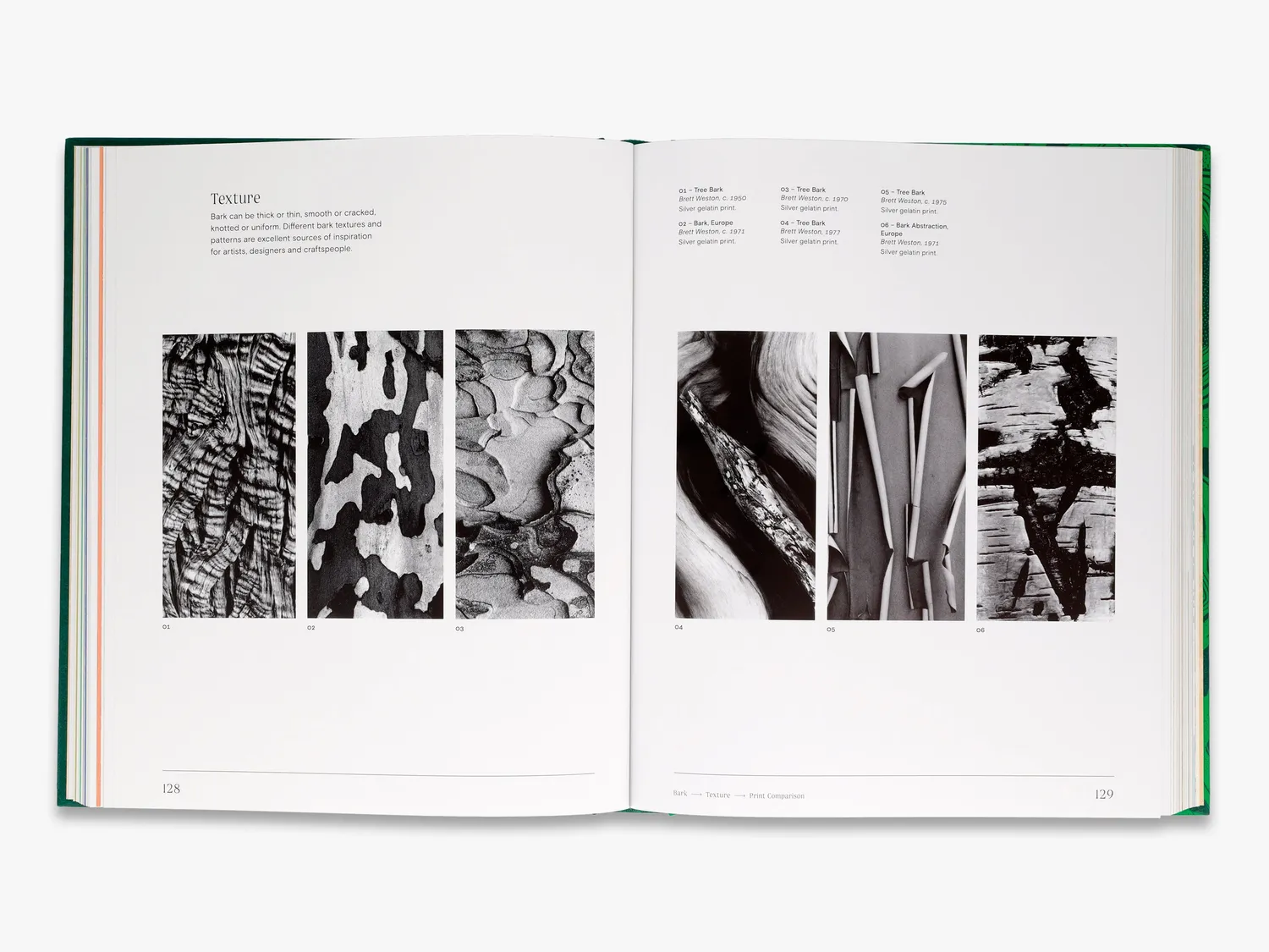 Thames & Hudson Trees From Root to Leaf naturbog