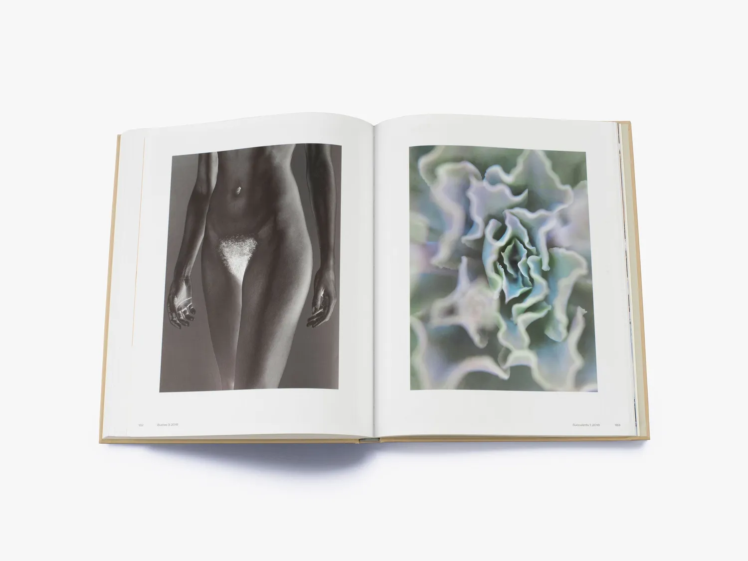 Thames & Hudson Mona Kuhn Works fotobog nøgenstudie