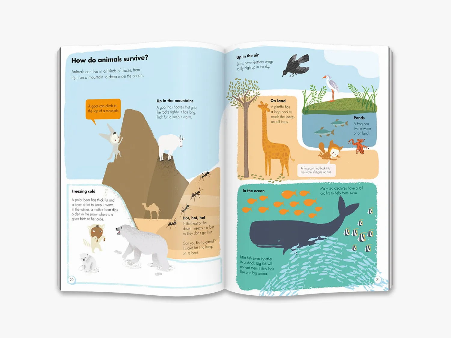 Thames & Hudson My Animal Book børnebog dyr