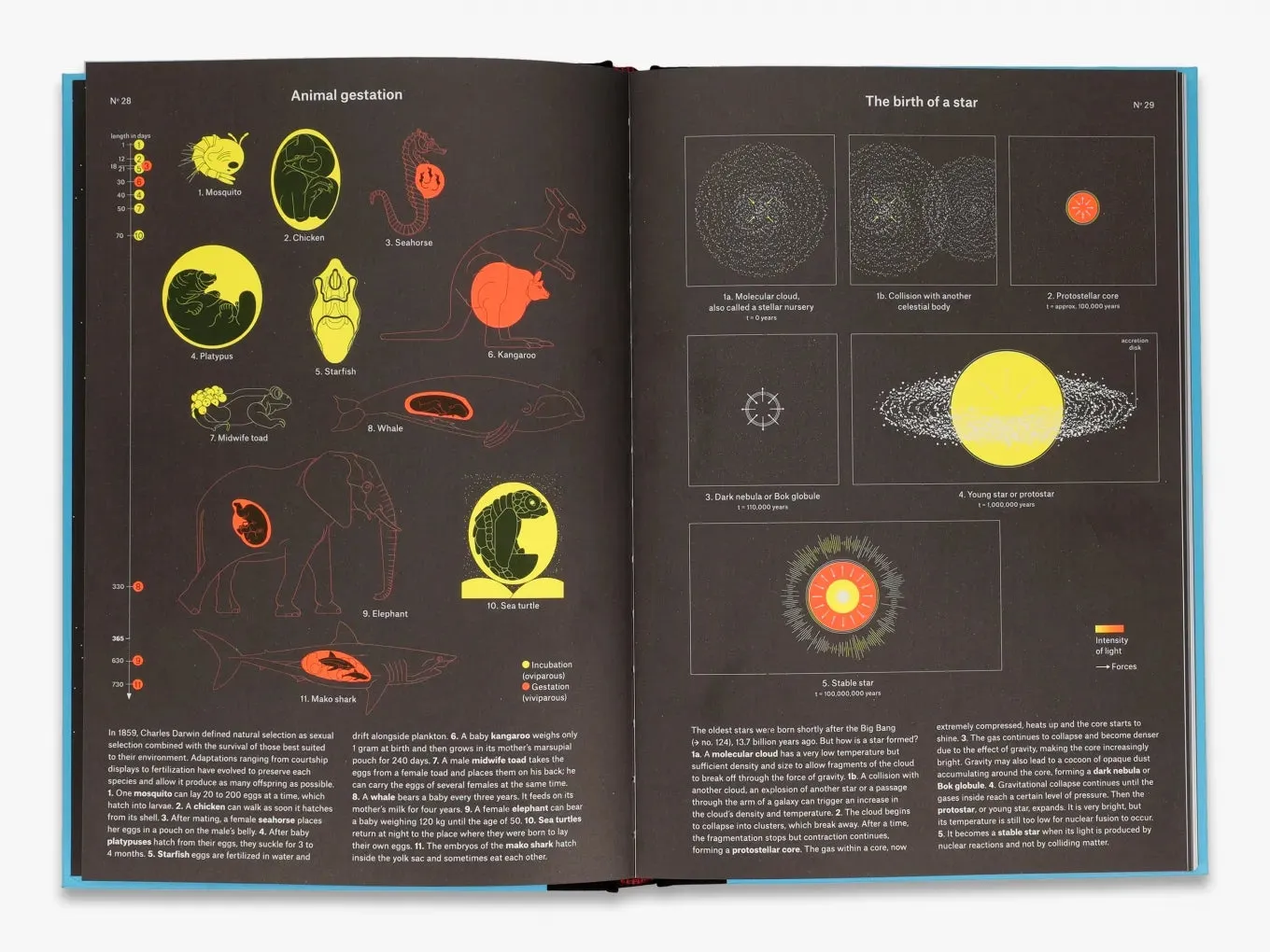 Thames & Hudson Phenomena illustreret fagbog naturvidenskab