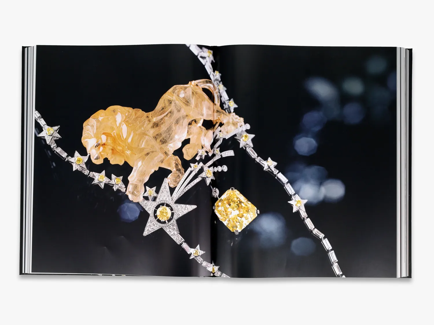 Thames & Hudson Chanel High Jewelry bog illustreret