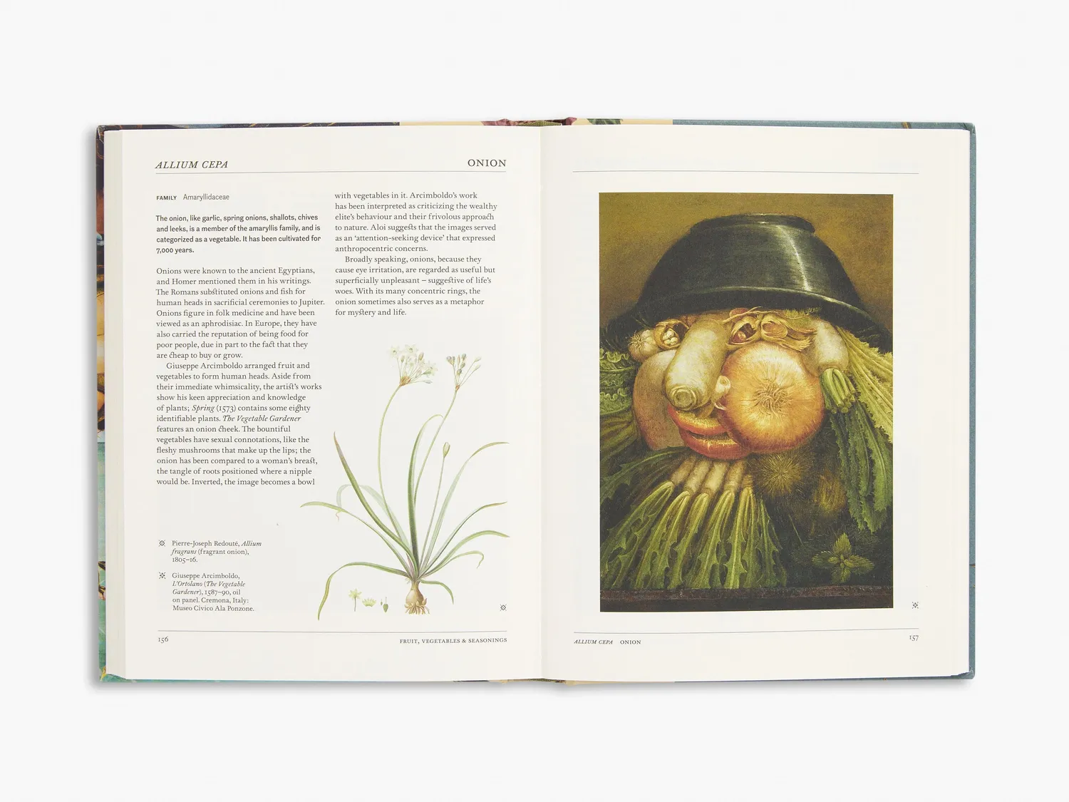 Thames & Hudson Secret Language Plants botanikbog illustreret
