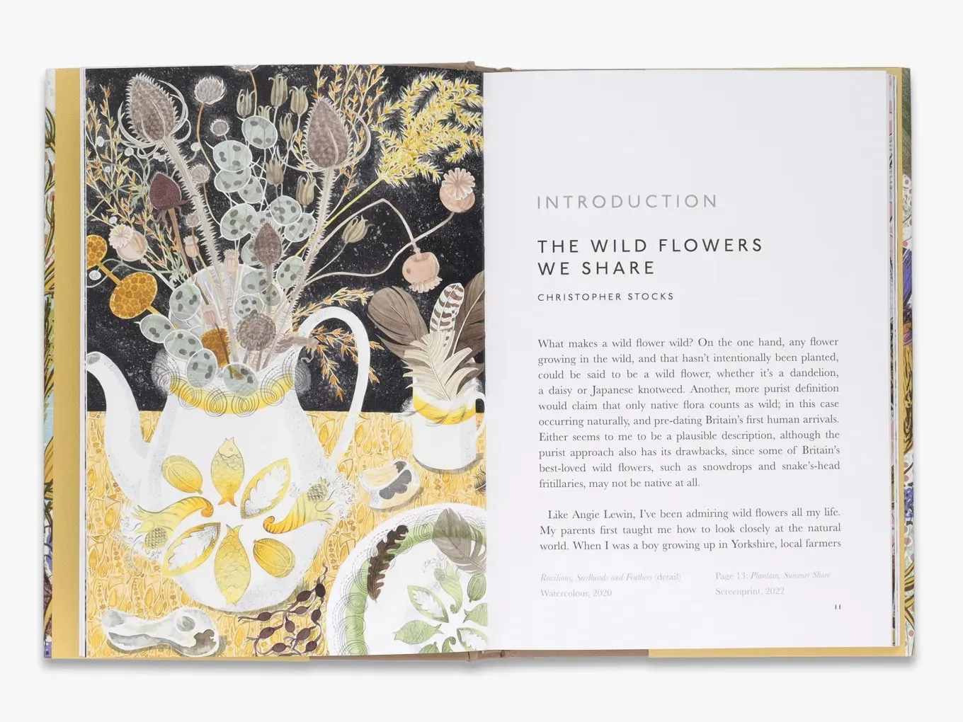 Thames & Hudson The Book of Wild Flowers bog om blomster