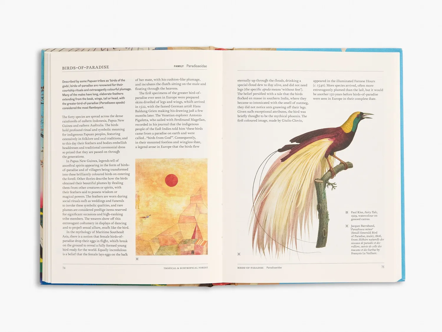 Thames & Hudson The Secret Language of Birds bog – symbolik
