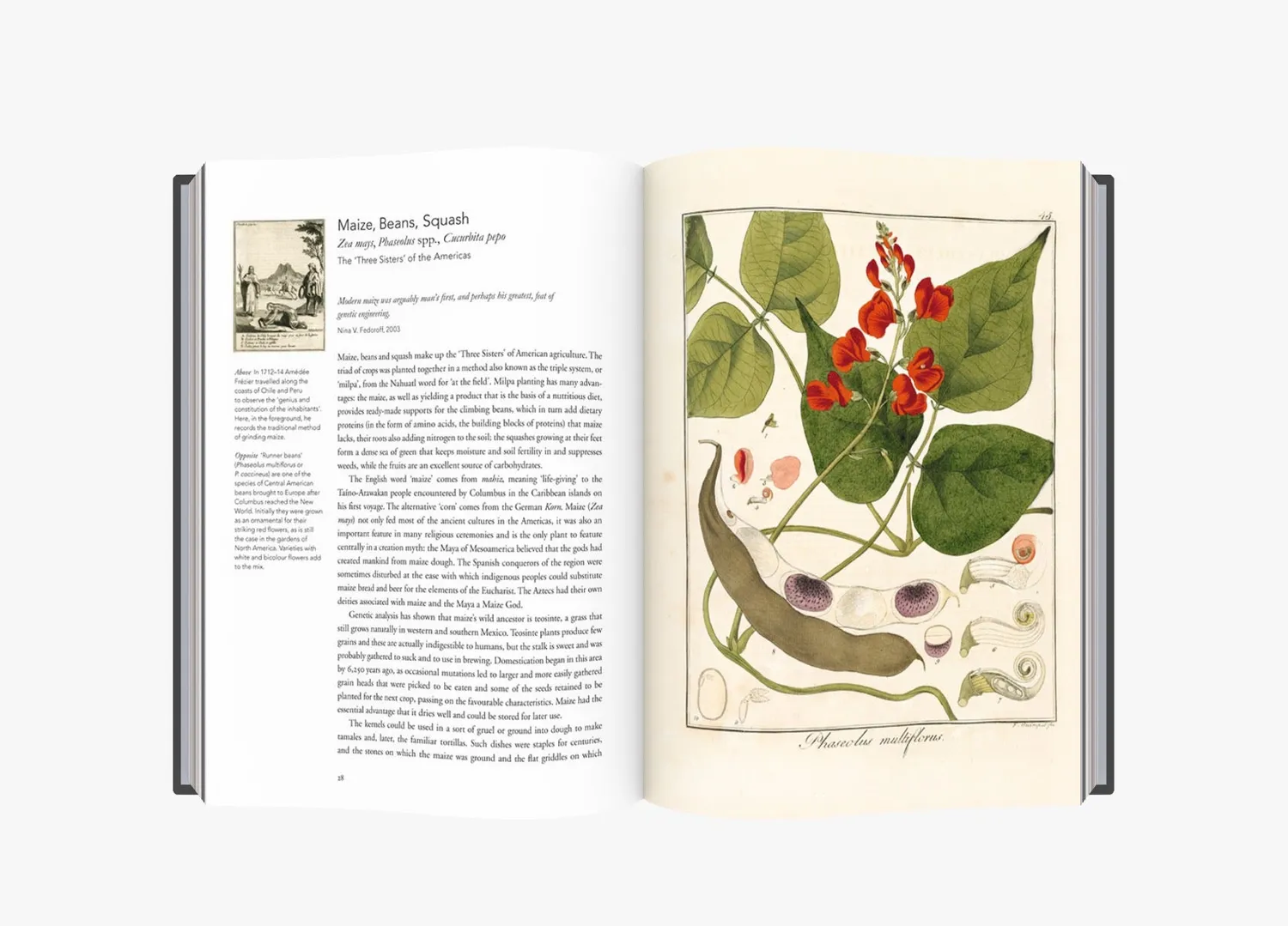 Thames & Hudson Remarkable Plants That Shape Our World bog