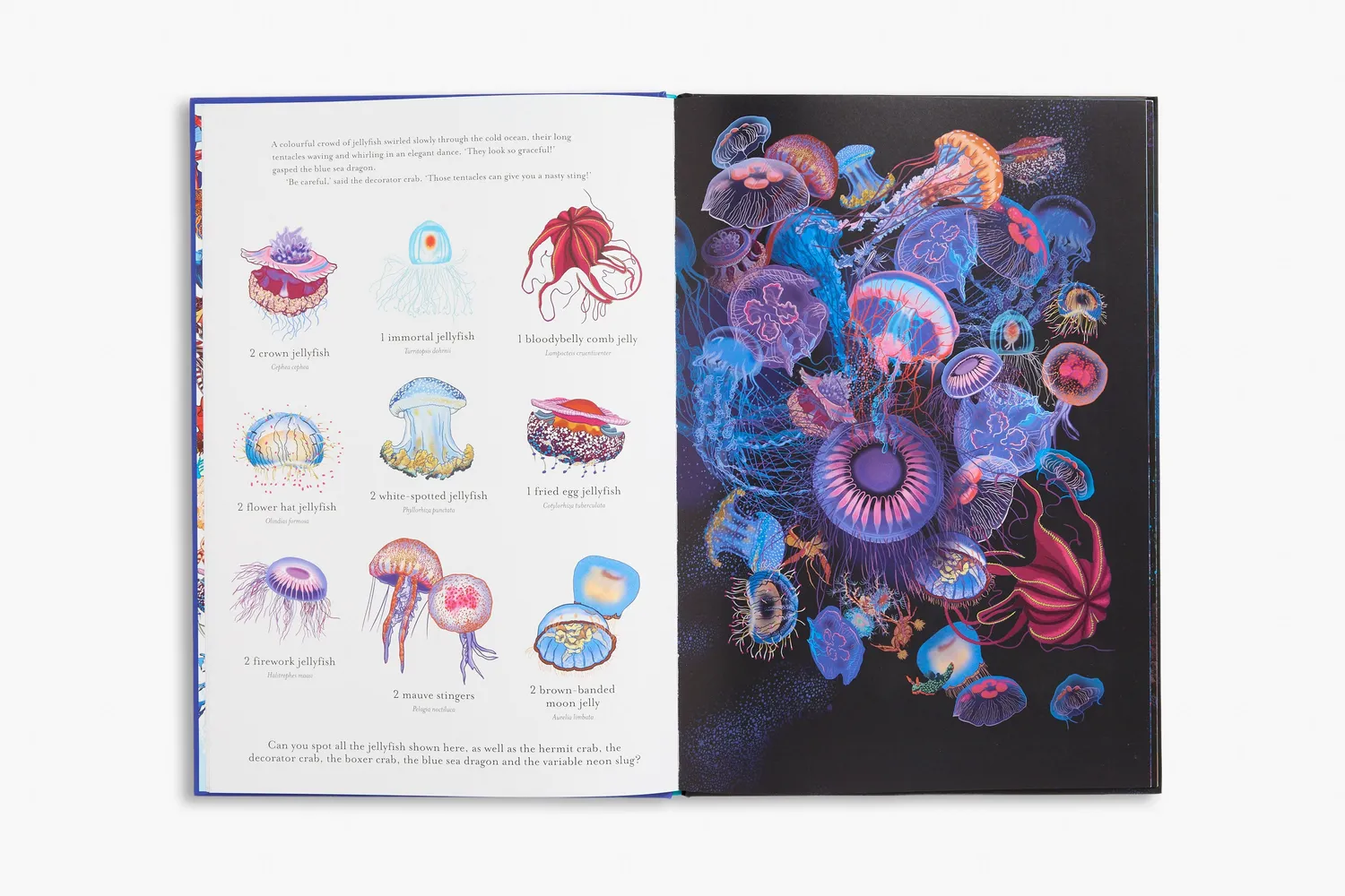 Thames & Hudson Incredible 3D Ocean Dive børnebog 3D