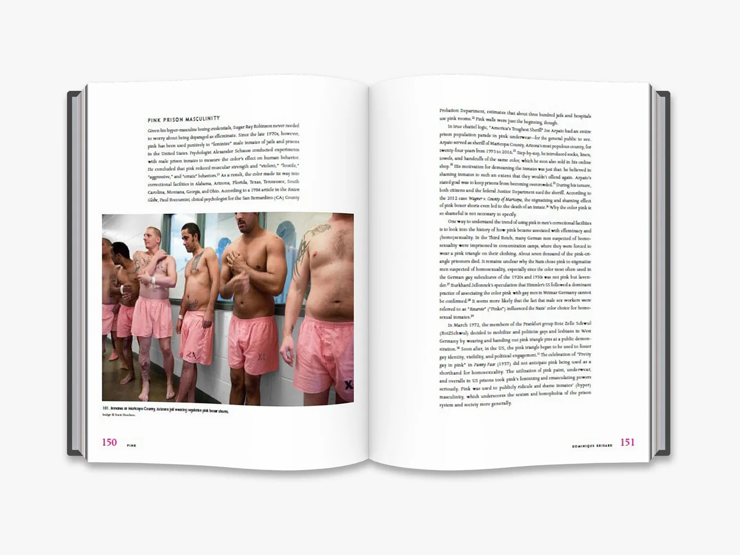 Thames & Hudson Pink punk pretty powerful modebog lyserød