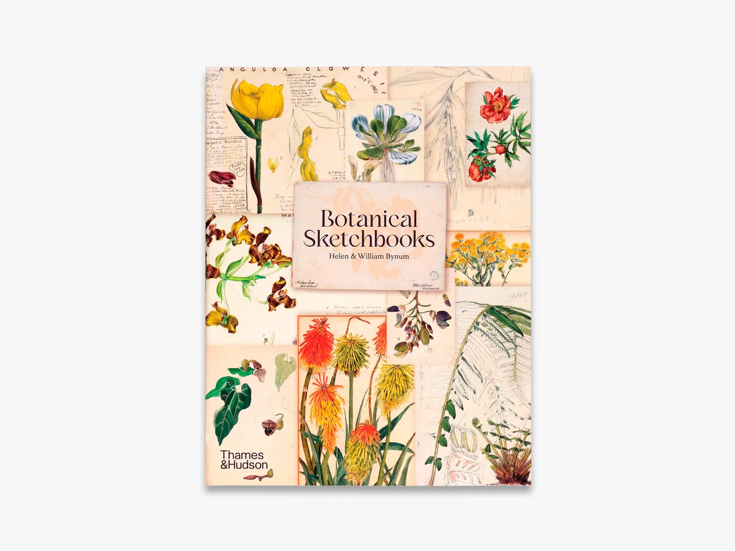 Thames & Hudson Botanical Sketchbooks fagbog illustreret