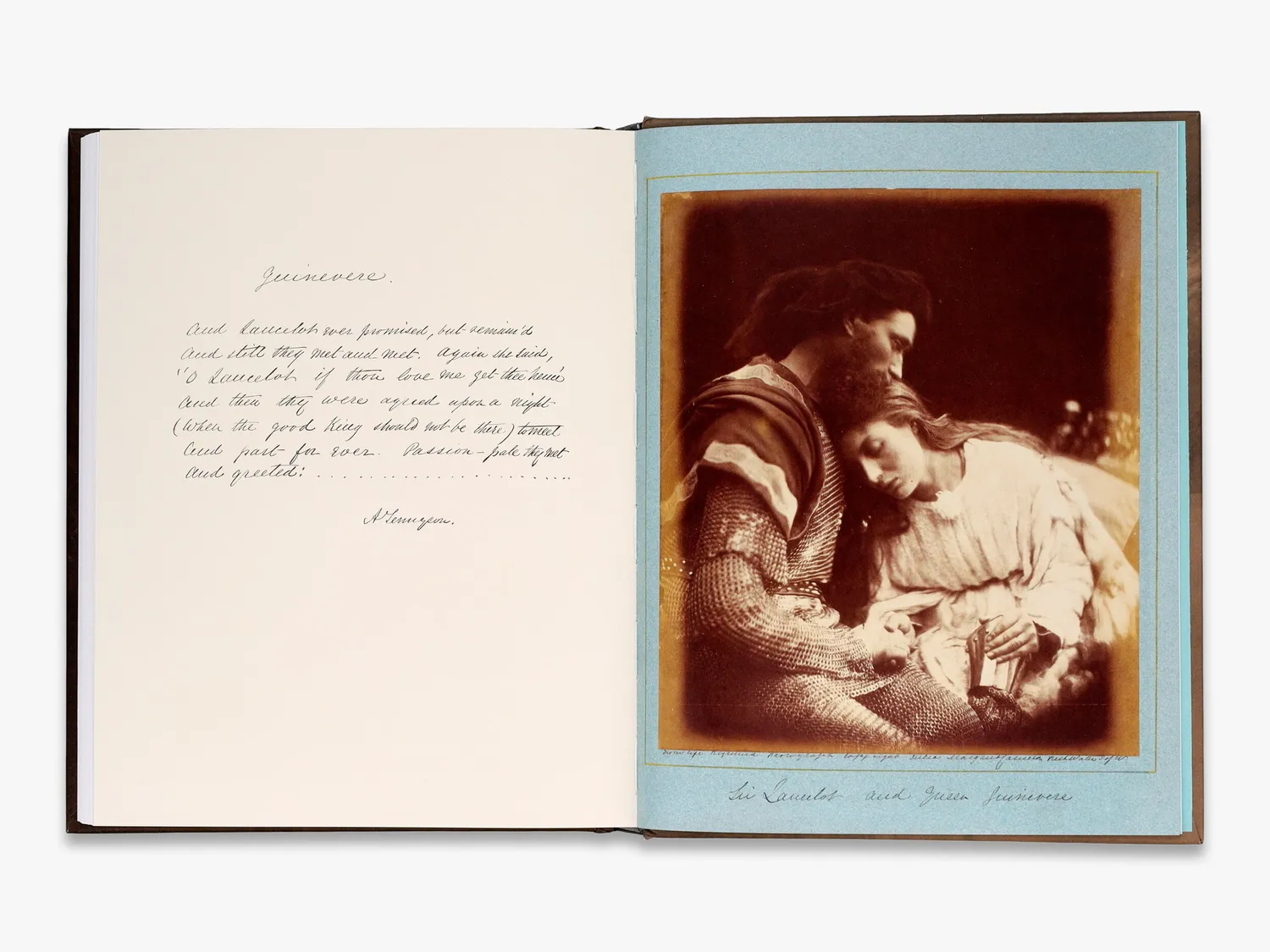 Thames & Hudson Julia Margaret Cameron Arresting Beauty fotobog V&A