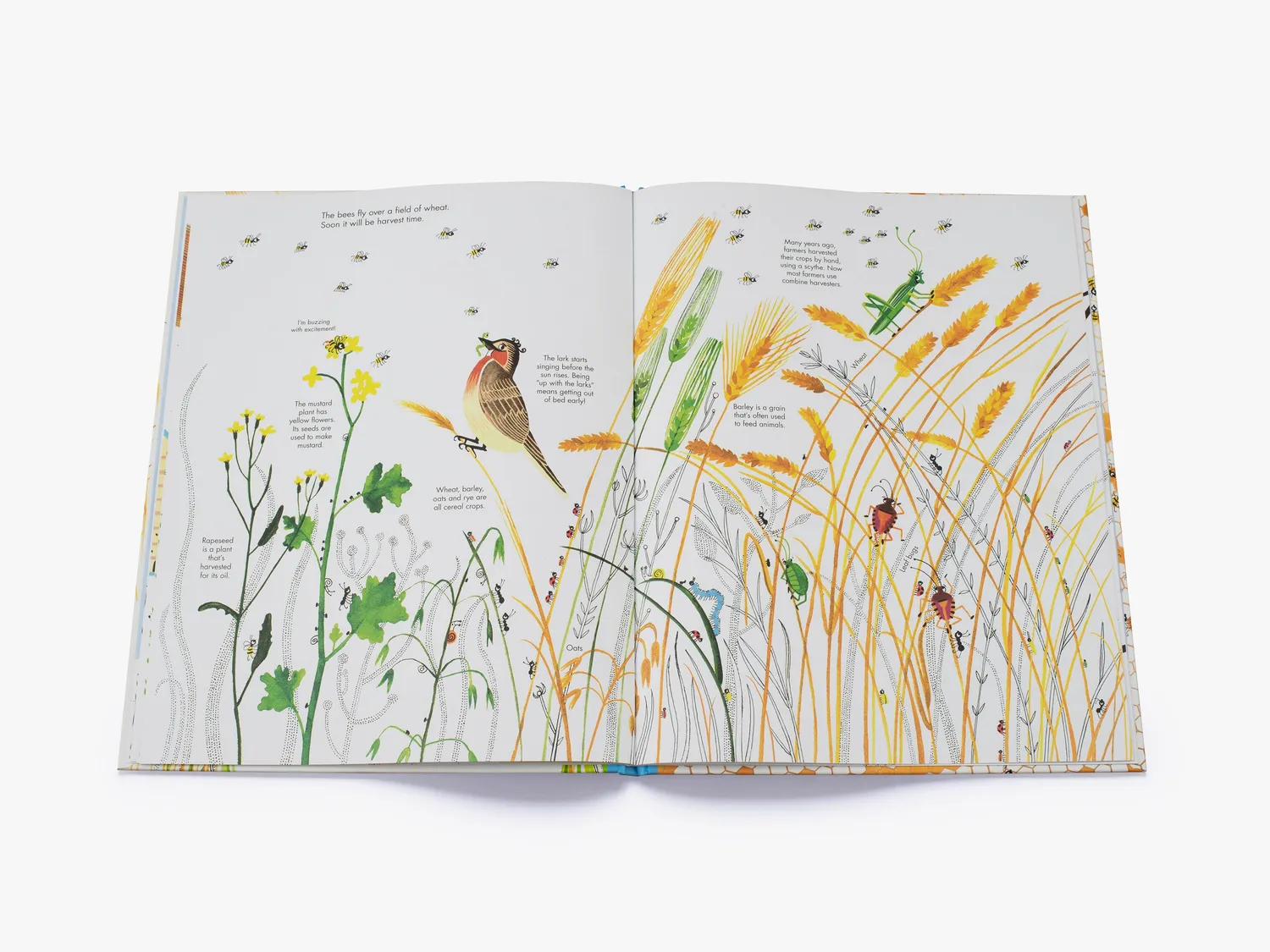 Thames & Hudson 1001 Bees børnebog bier illustreret
