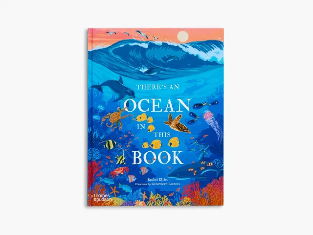 Thames & Hudson There's an Ocean in This Book børnebog om havet