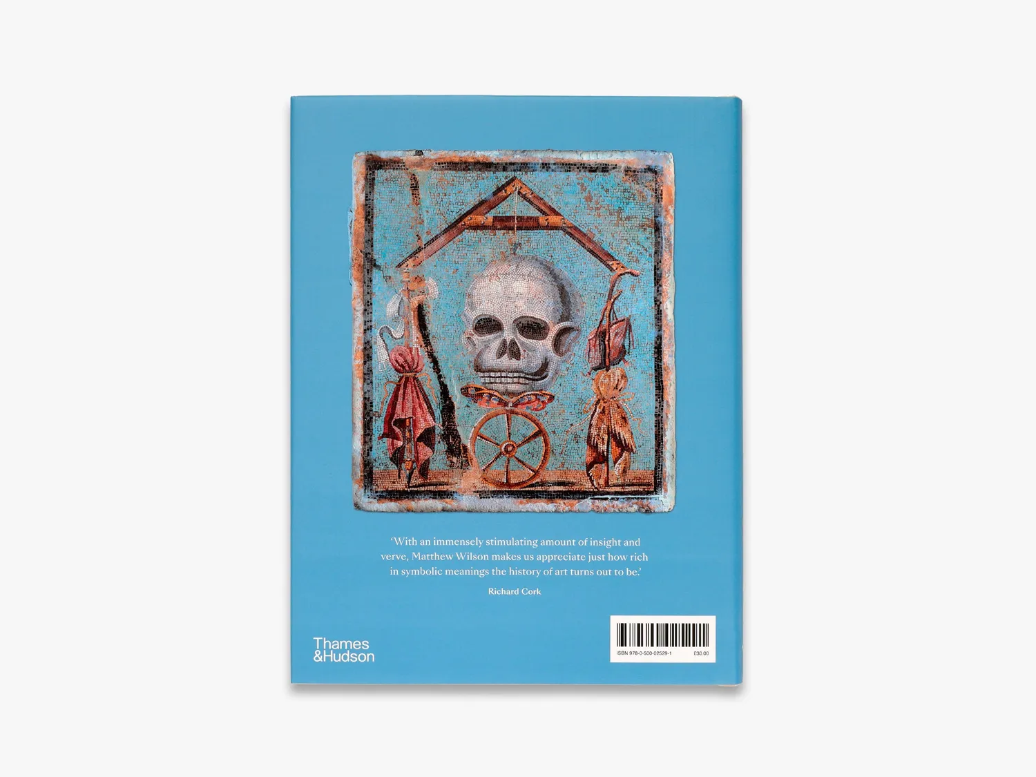 Thames & Hudson The Hidden Language of Symbols bog