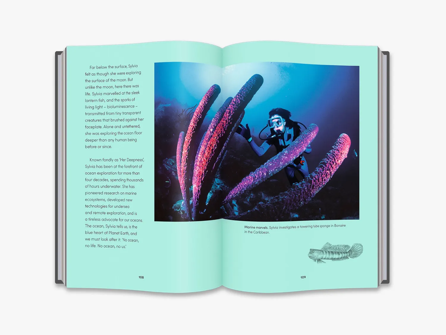 Thames & Hudson We Are Explorers bog kvindelige opdagere