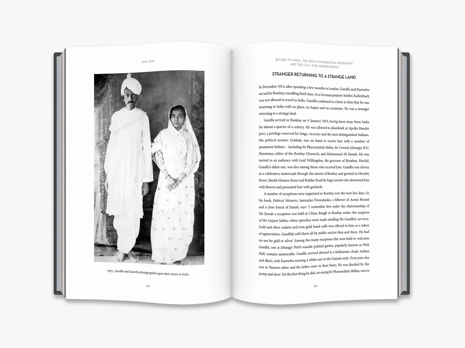 Thames & Hudson Gandhi bog illustreret biografi
