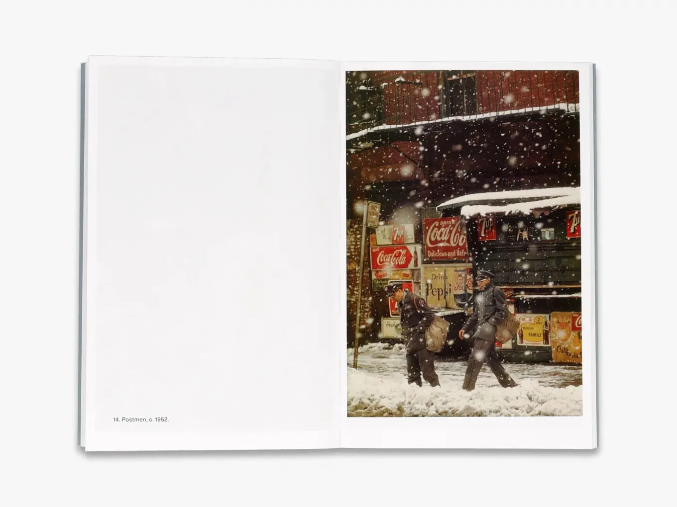 Thames & Hudson Photofile Saul Leiter fotobog farvefotografi