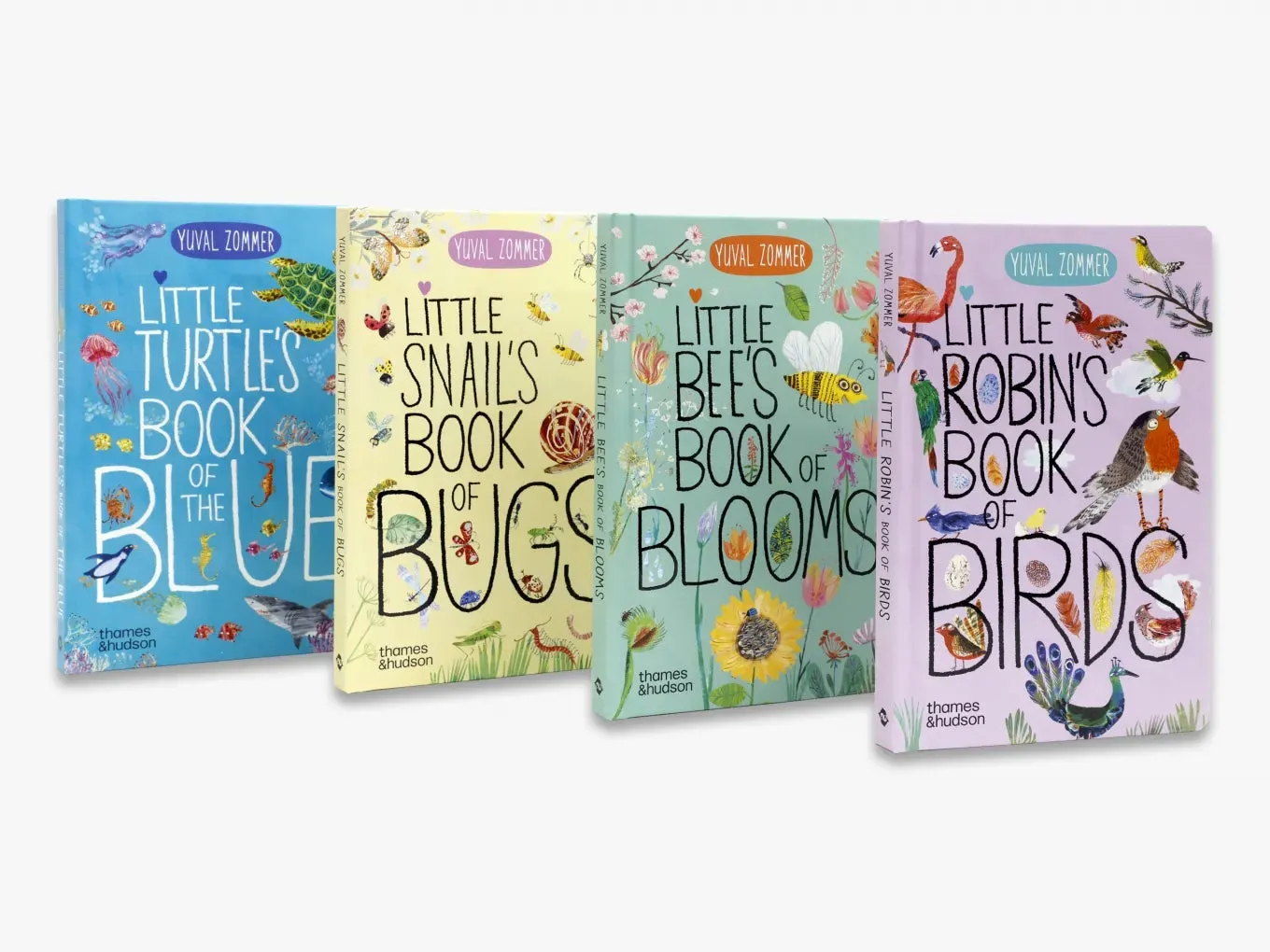 The Big Book Little Robin's Book of Birds papbog fugle