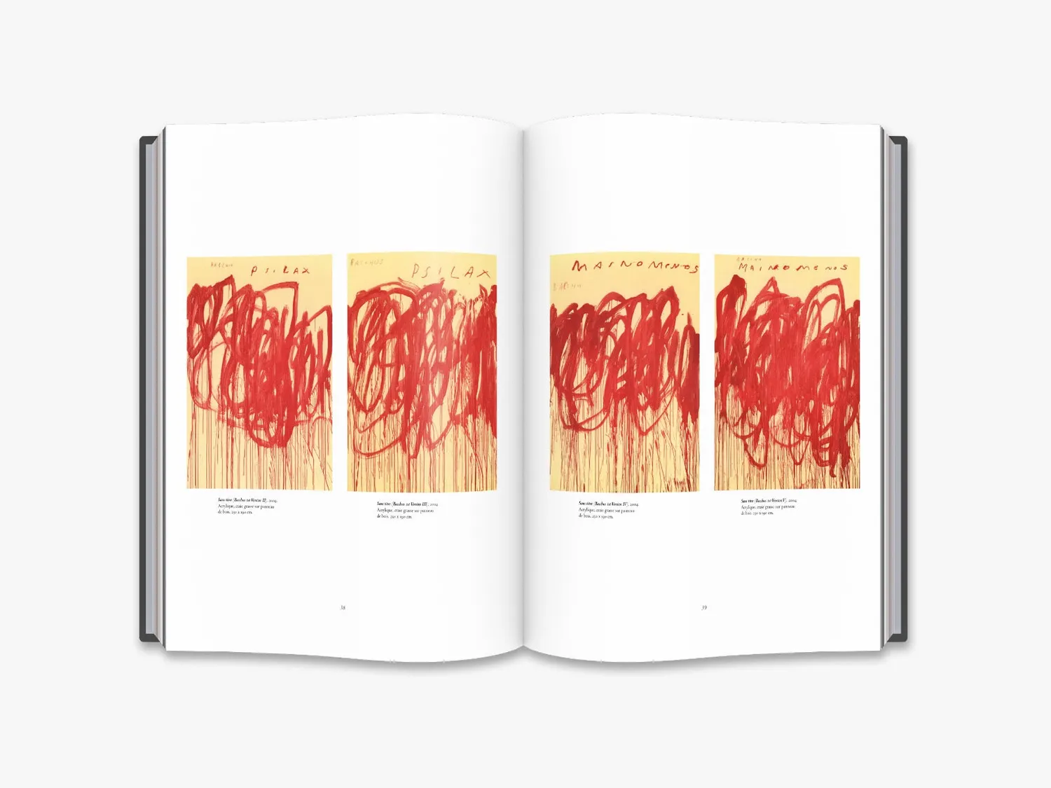 Thames & Hudson Cy Twombly bog monografi maleri