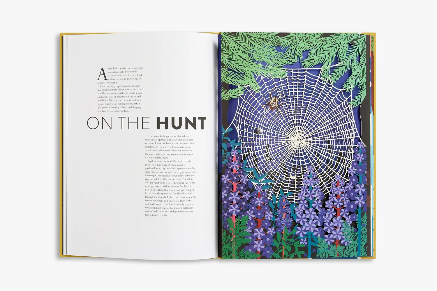 Thames & Hudson Animal bog Hélène Druvert illustreret
