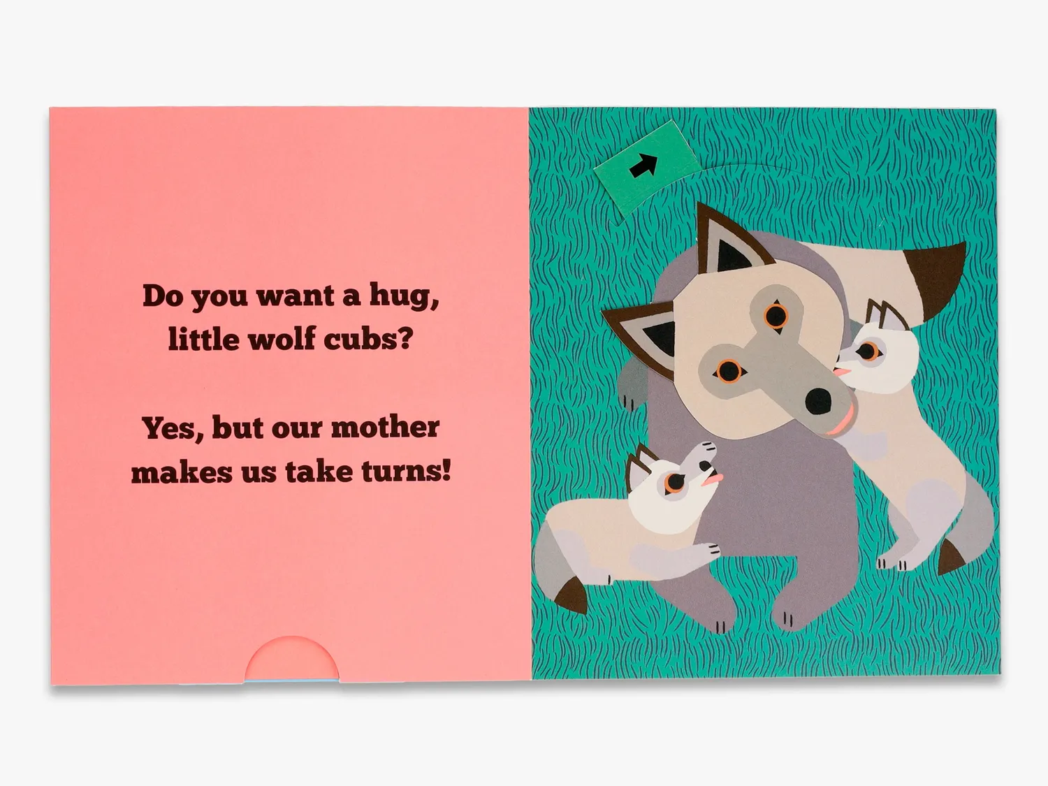 Thames & Hudson Do You Want a Hug pop op børnebog kram