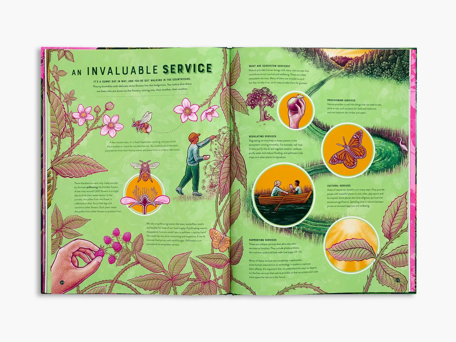 Wild Wonders Life børnebog biodiversitet Smith