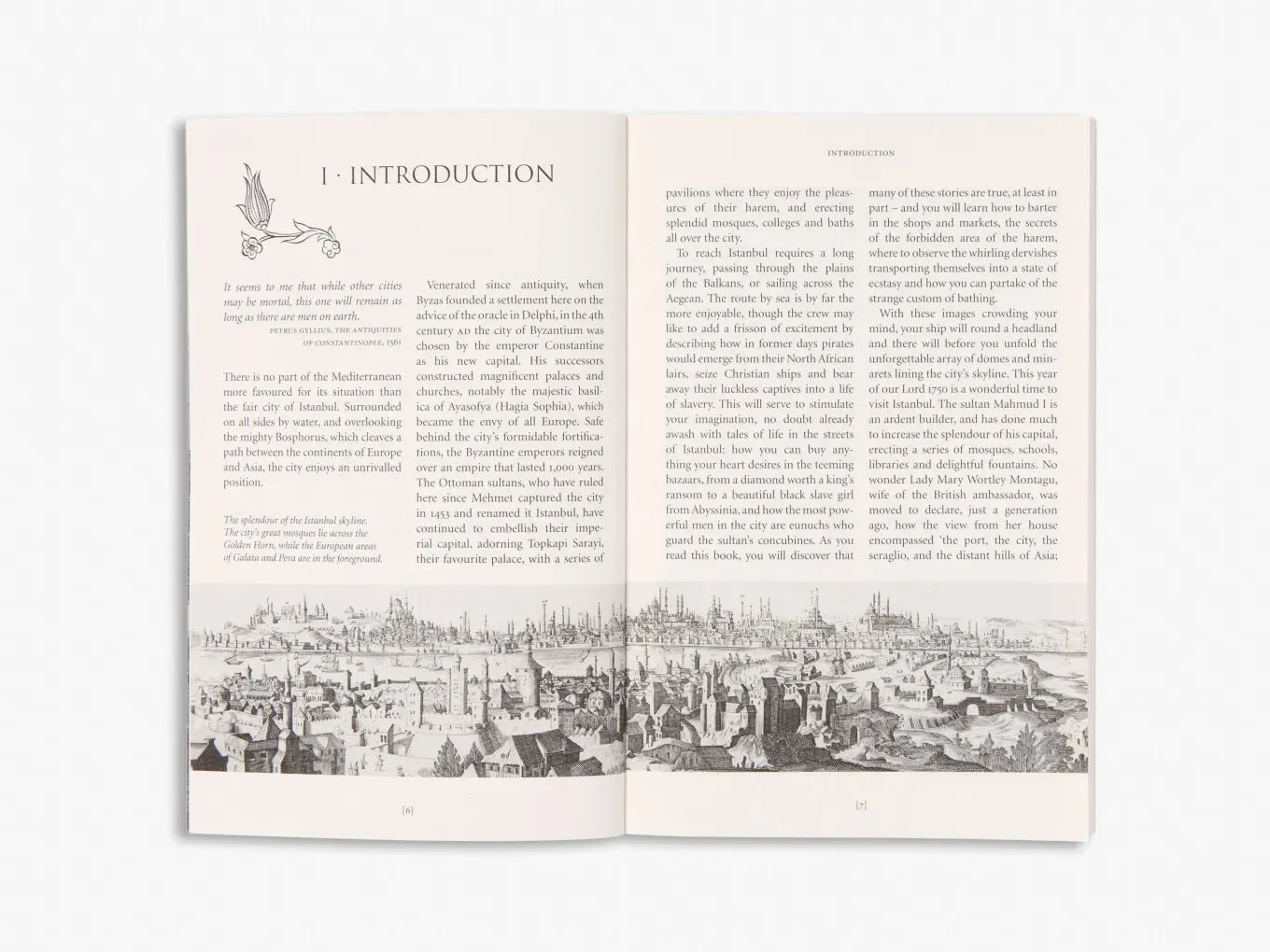 Thames & Hudson Istanbul on Five Kurush bog – guide