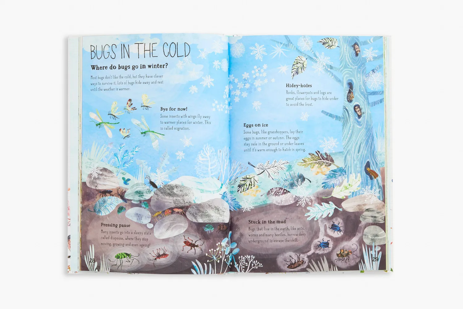 Thames & Hudson The Big Book of Bugs insektbog børn