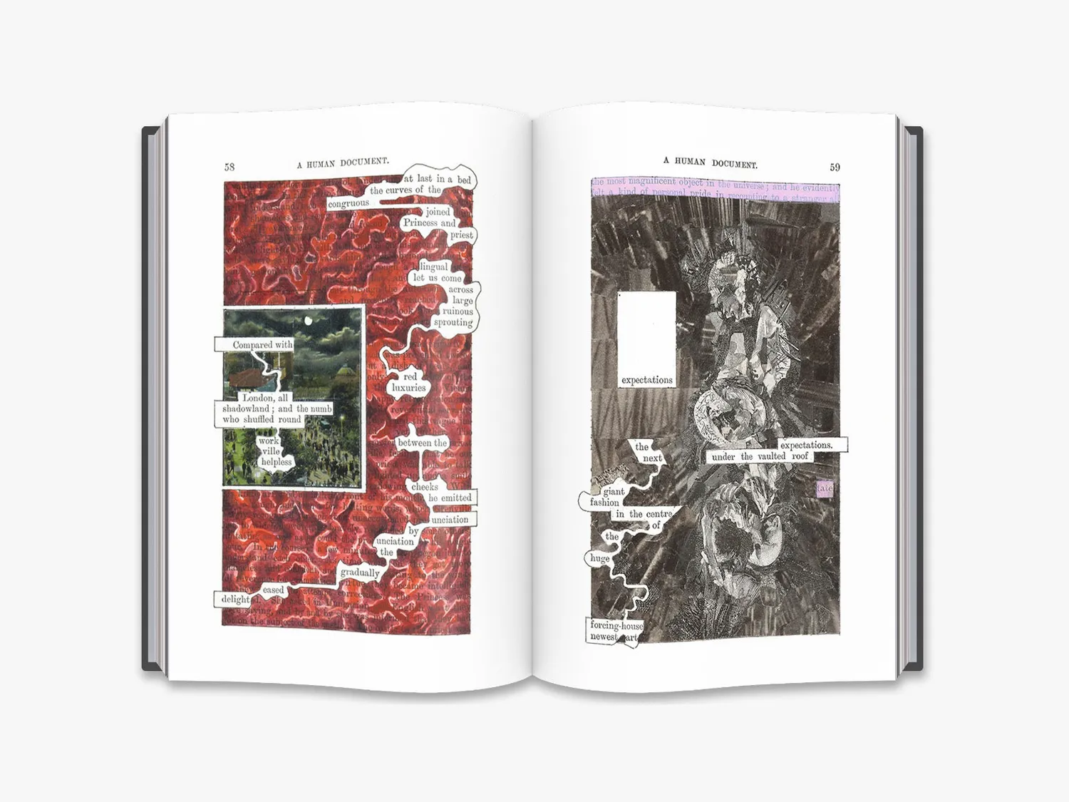 Thames & Hudson A Humument bog Tom Phillips kunstudgave
