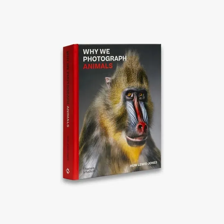Thames & Hudson Why We Photograph Animals fotobog