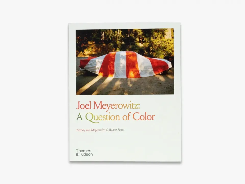 Thames & Hudson Meyerowitz A Question of Color fotobog