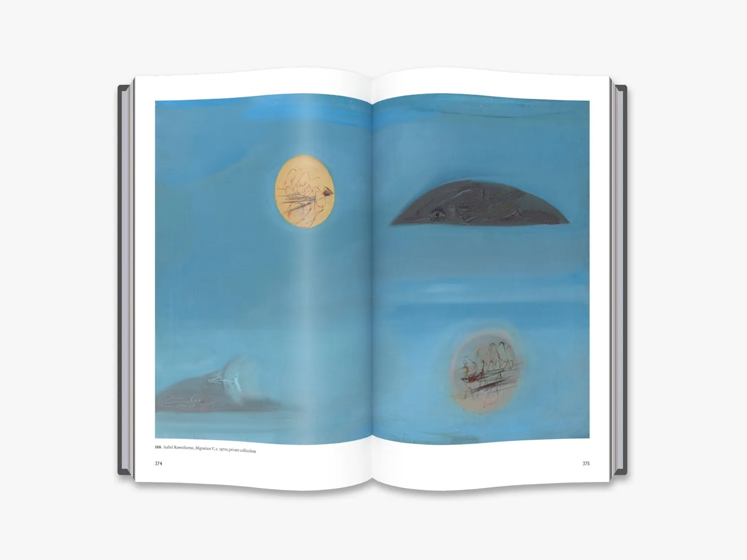 Thames & Hudson Out of the Cage: The Art of Isabel Rawsthorne bog