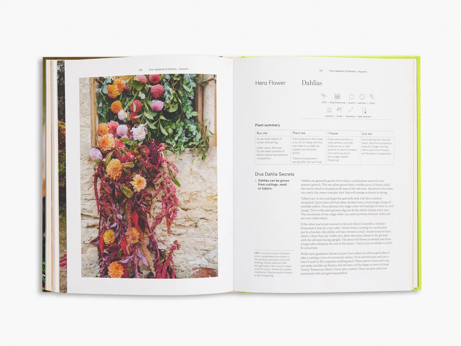 Thames & Hudson Secrets from the Flower Farm havebog blomster