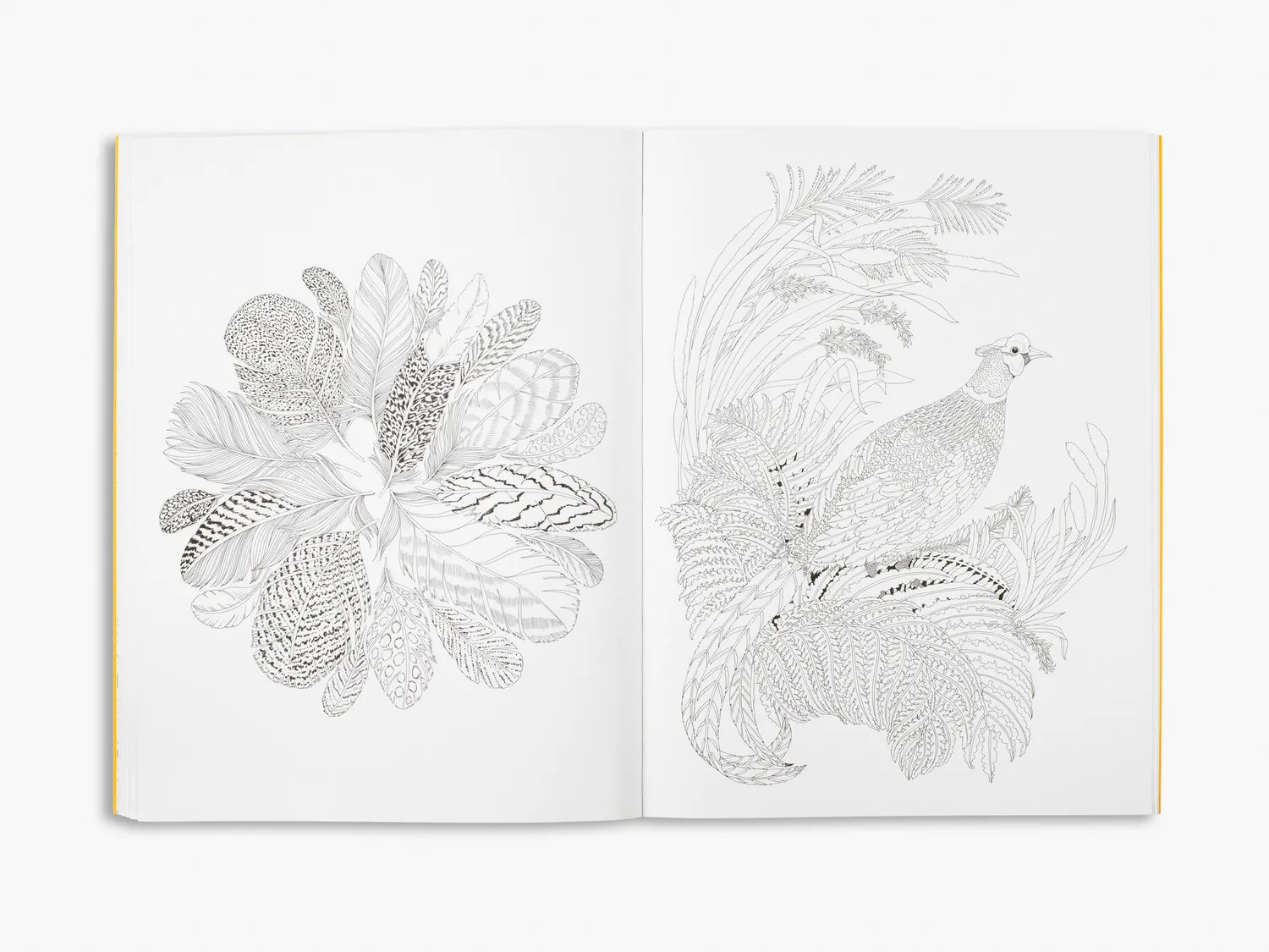 Thames & Hudson Beautiful Planet malebog af Leila Duly