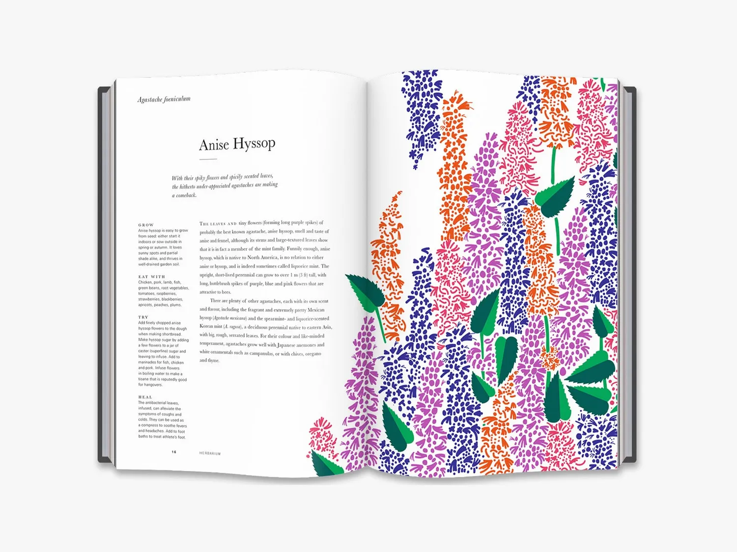 Thames & Hudson Herbarium bog om urter