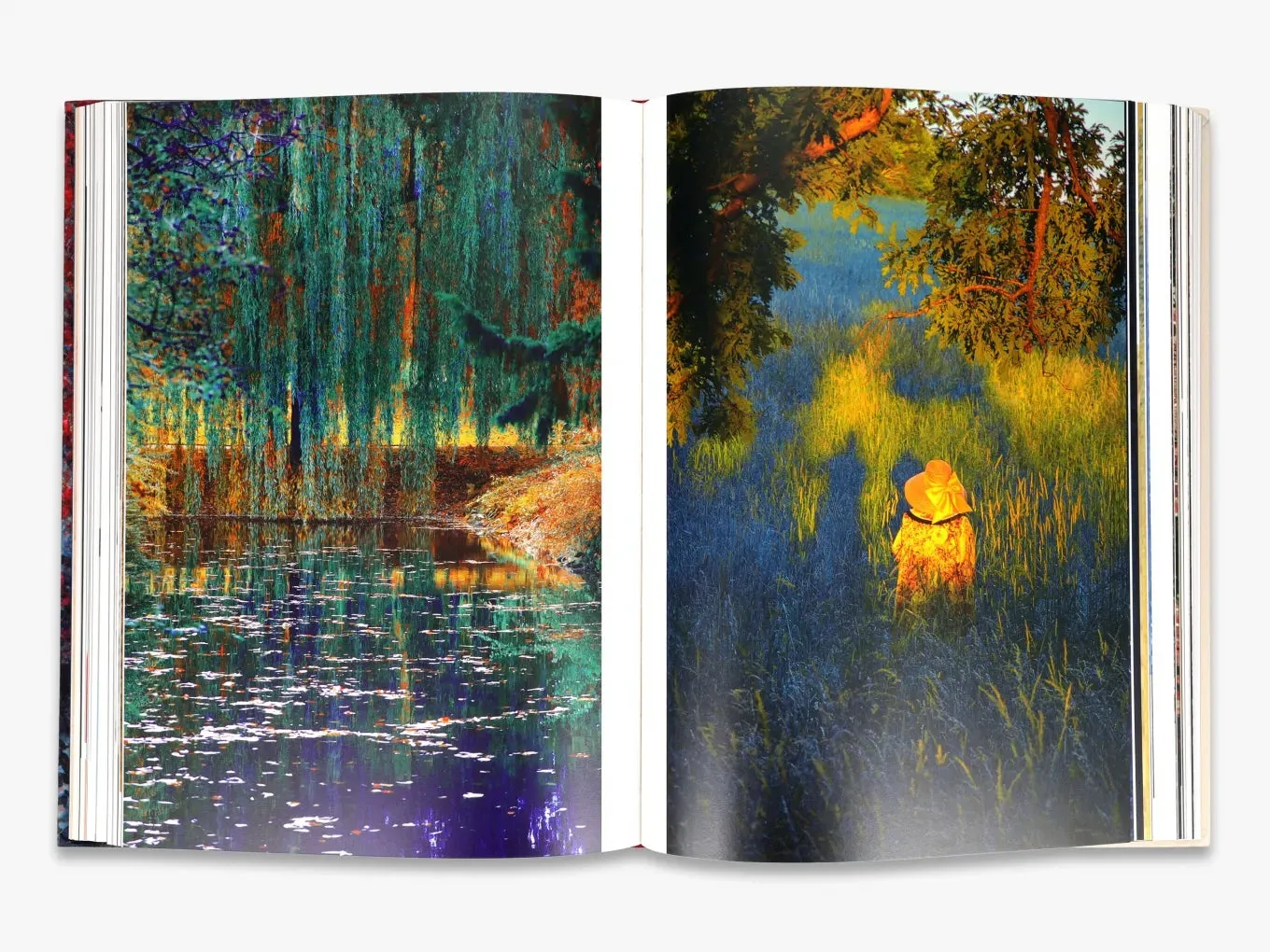 Thames & Hudson The Tapestry fotobog Erik Madigan Heck