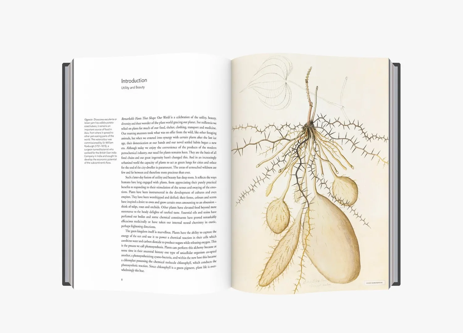 Thames & Hudson Remarkable Plants That Shape Our World bog