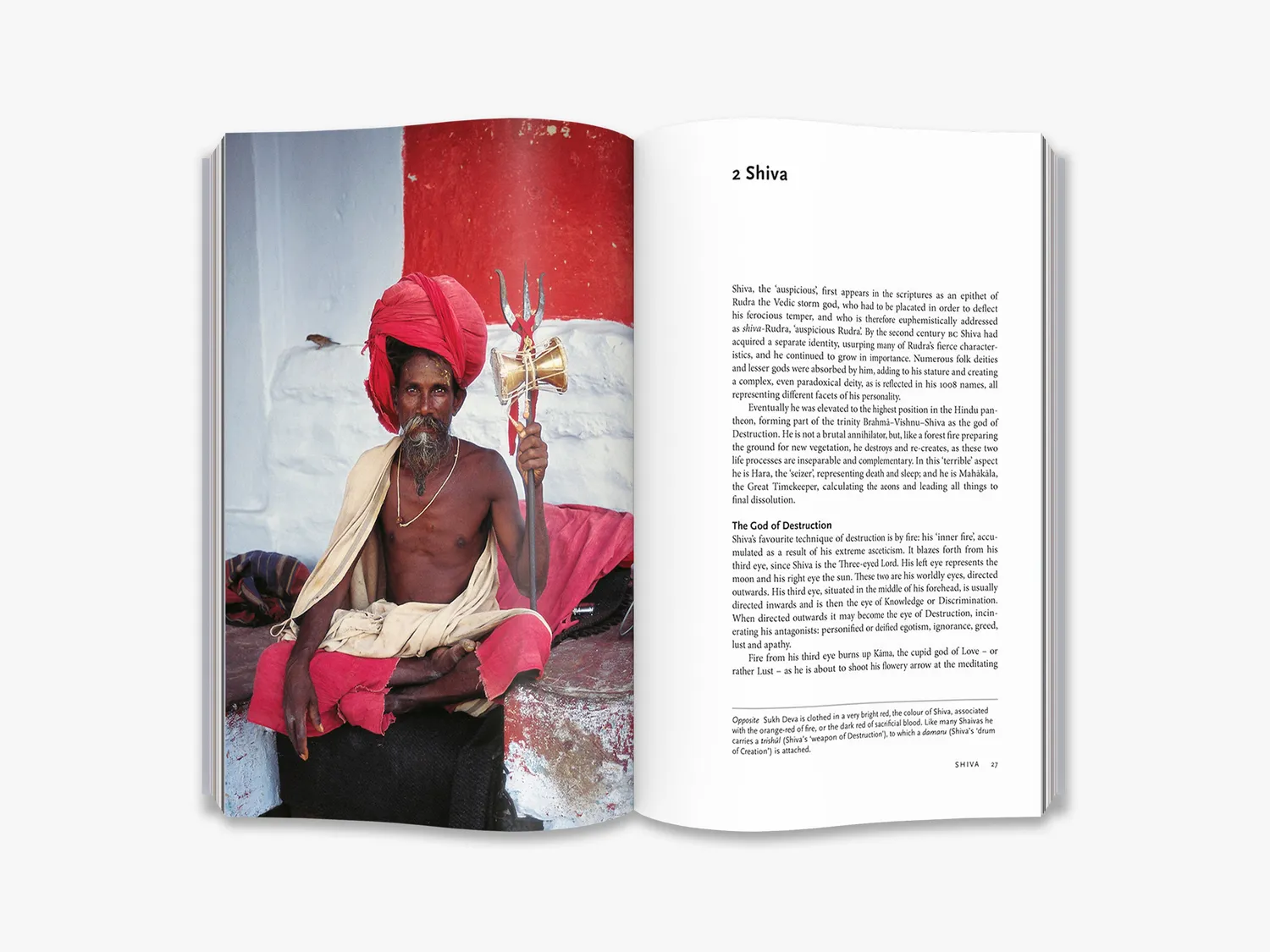 Thames & Hudson Sadhus fagbog Indien foto