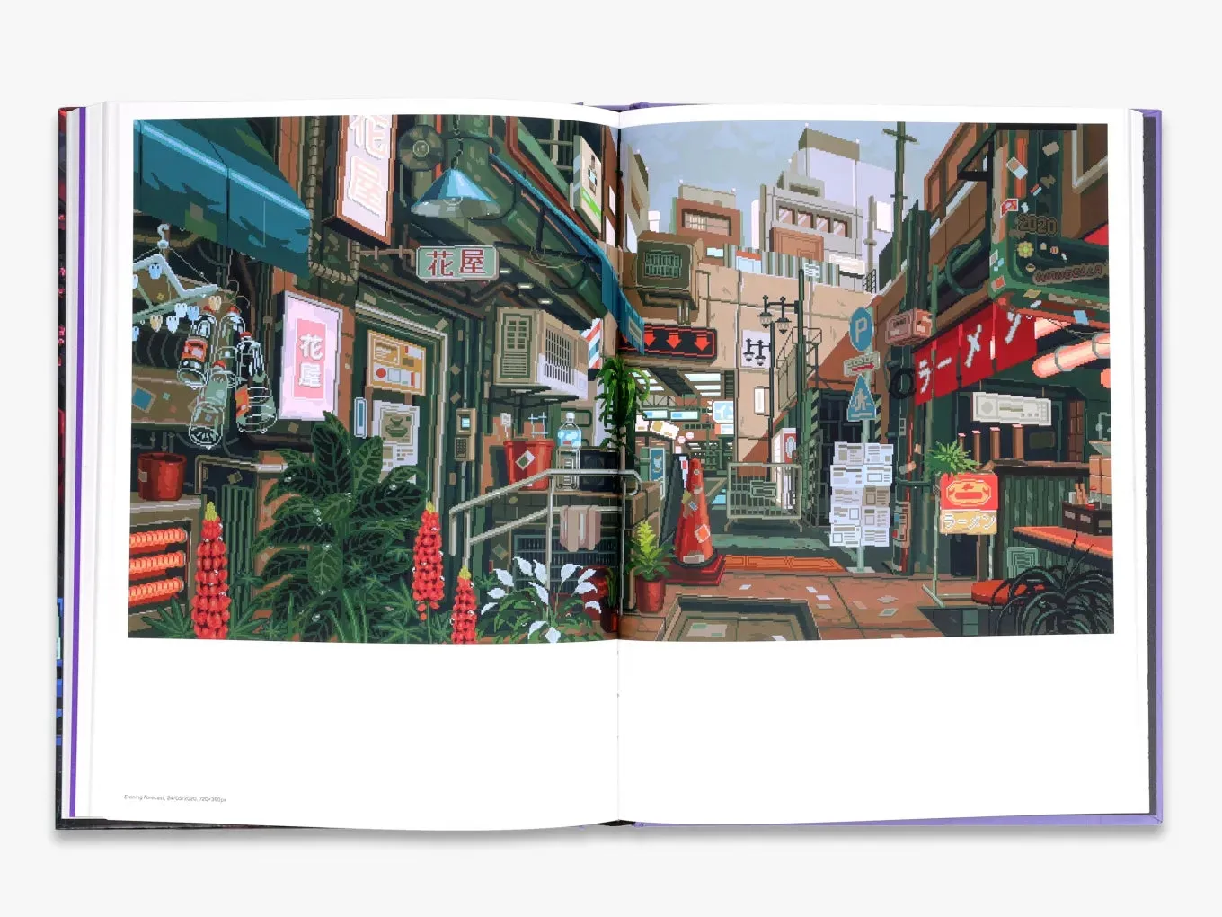 Thames & Hudson Waneella fagbog illustreret pixelkunst