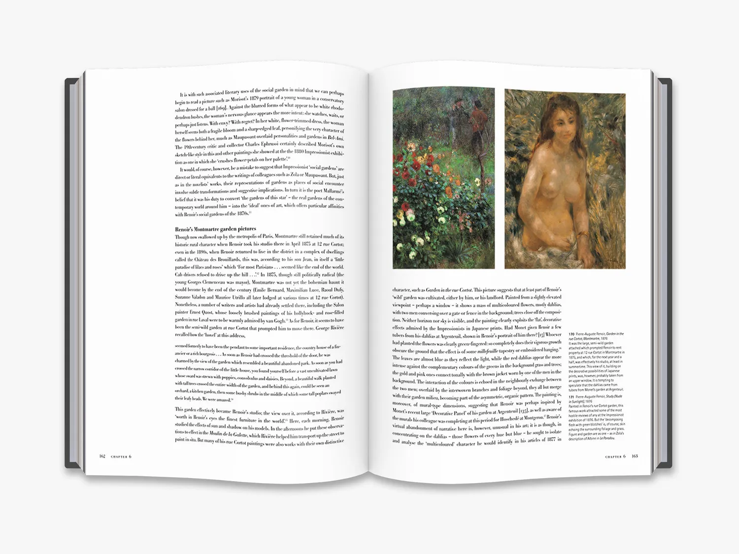 Thames & Hudson In the Gardens of Impressionism bog