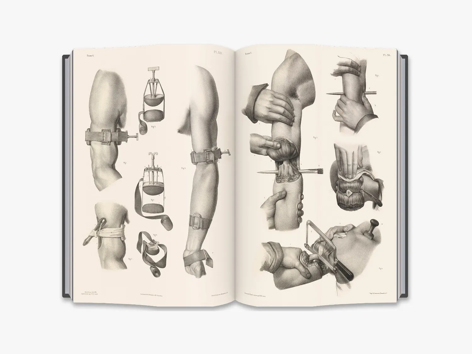 Thames & Hudson Crucial Interventions bog anatomi