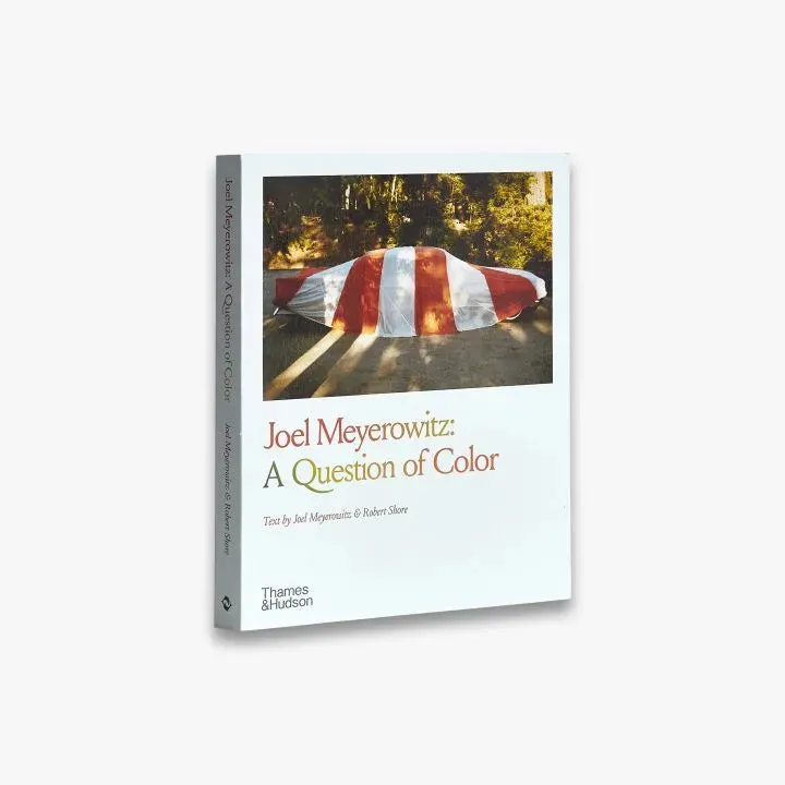 Thames & Hudson Meyerowitz A Question of Color fotobog