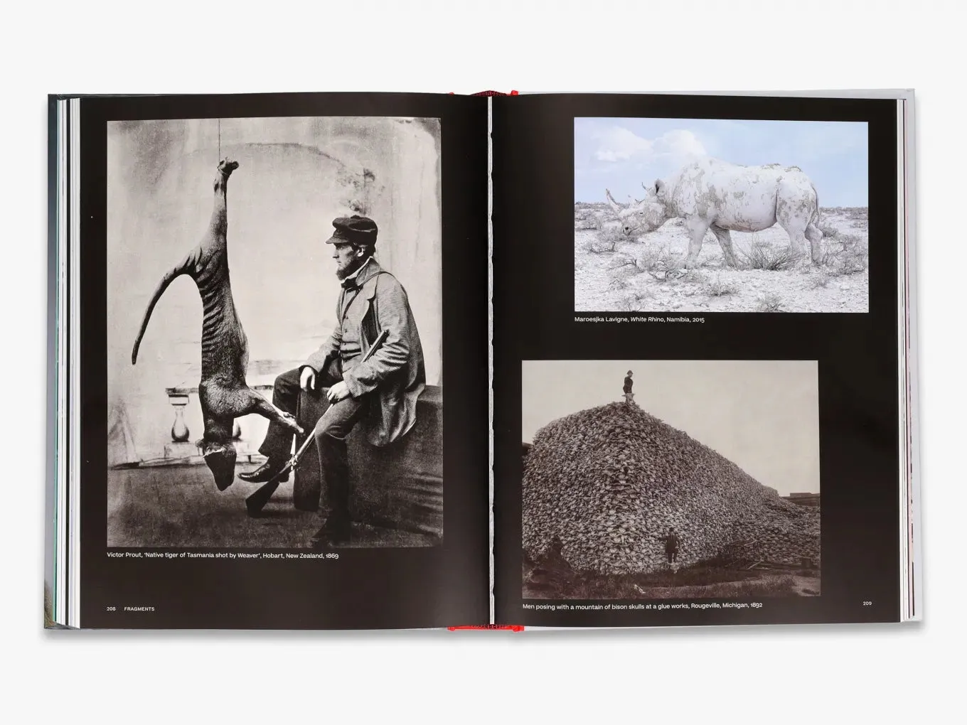 Thames & Hudson Why We Photograph Animals fotobog