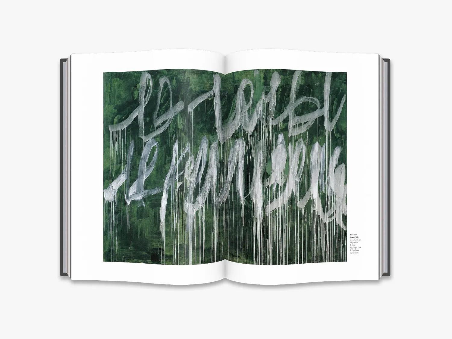 Thames & Hudson Cy Twombly bog monografi maleri
