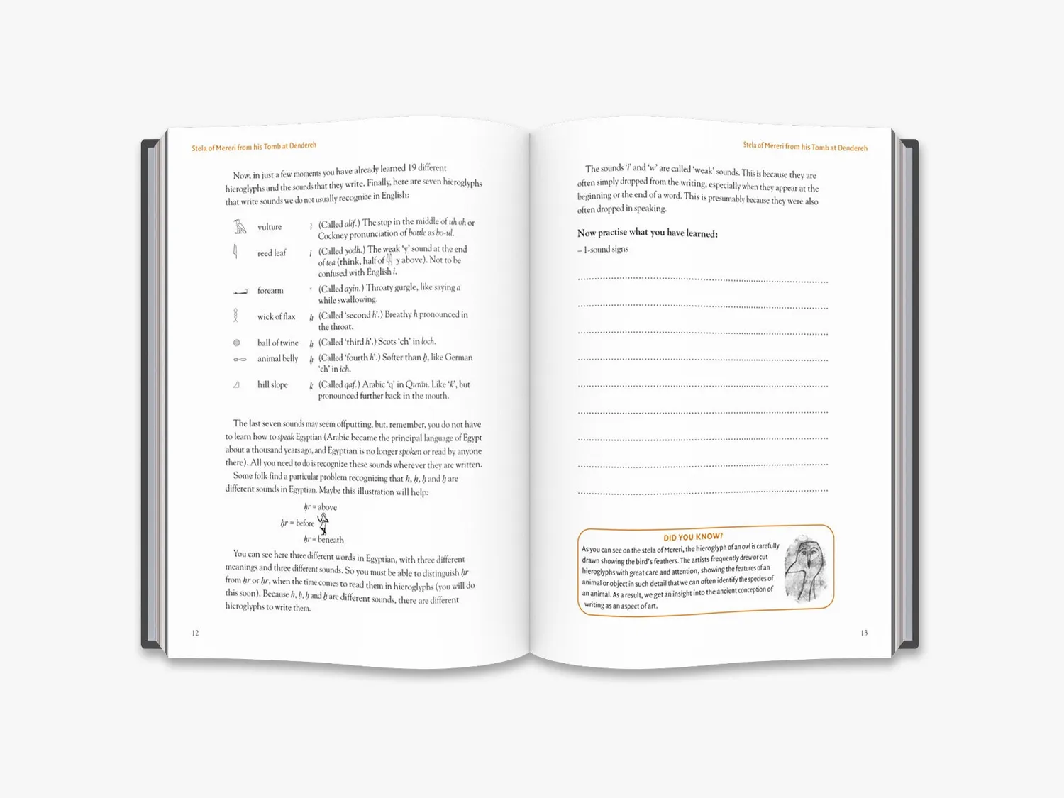 Thames & Hudson Egyptian Hieroglyphs Beginners bog hieroglyffer