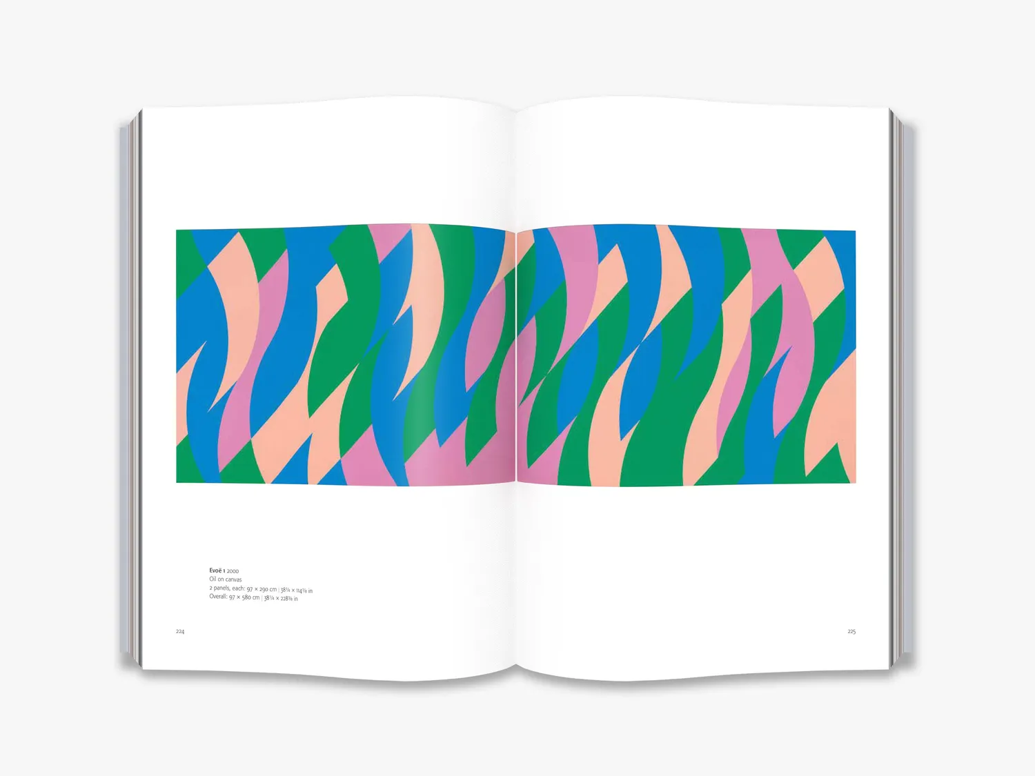 Thames & Hudson The Eye's Mind Bridget Riley bog