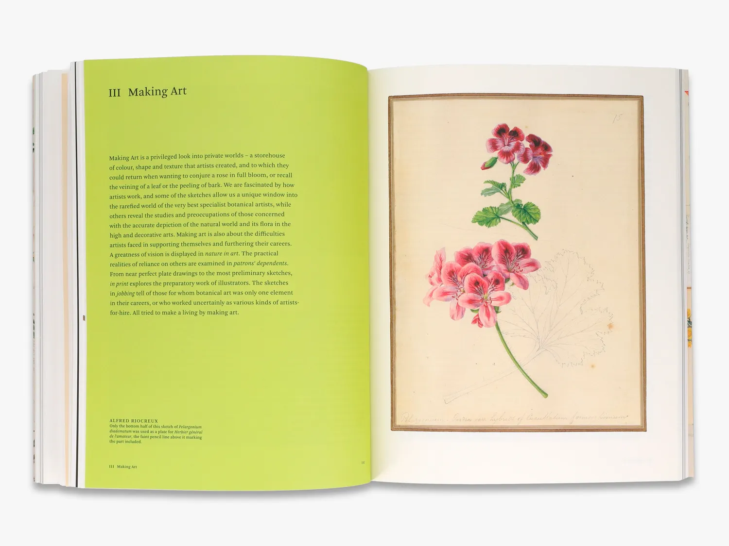 Thames & Hudson Botanical Sketchbooks fagbog illustreret