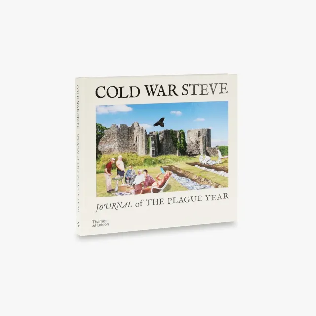 Thames & Hudson Cold War Steve Journal of The Plague Year bog