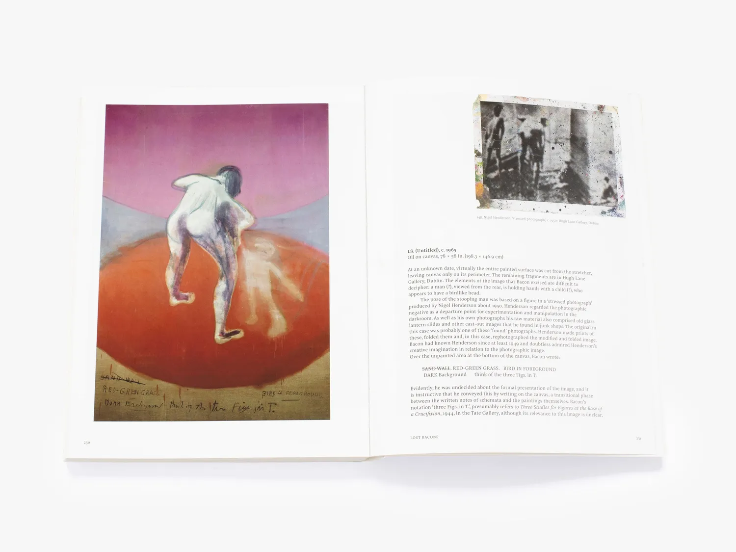 Thames & Hudson Francis Bacon Shadows fagbog Bacon Studies
