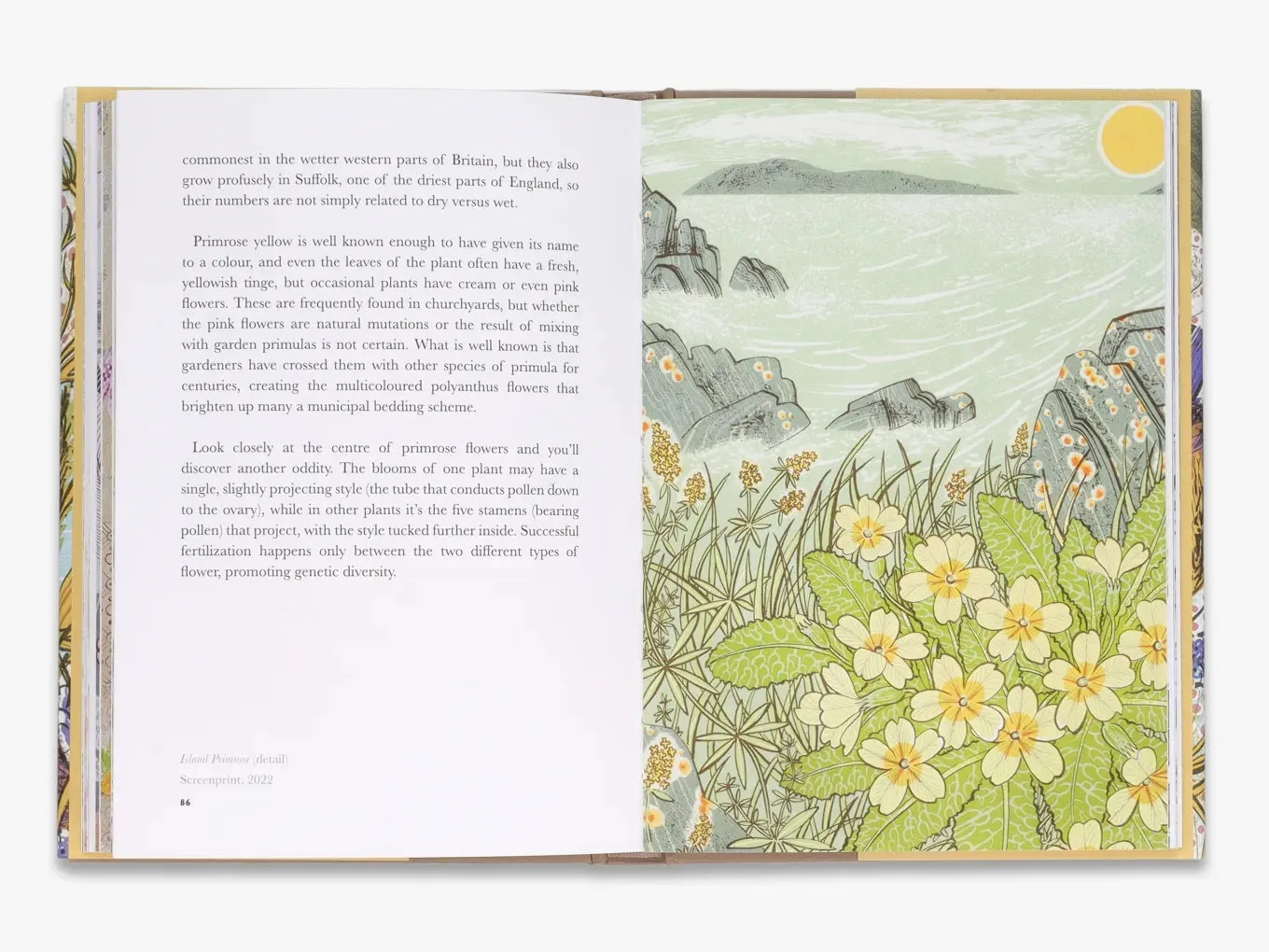Thames & Hudson The Book of Wild Flowers bog om blomster